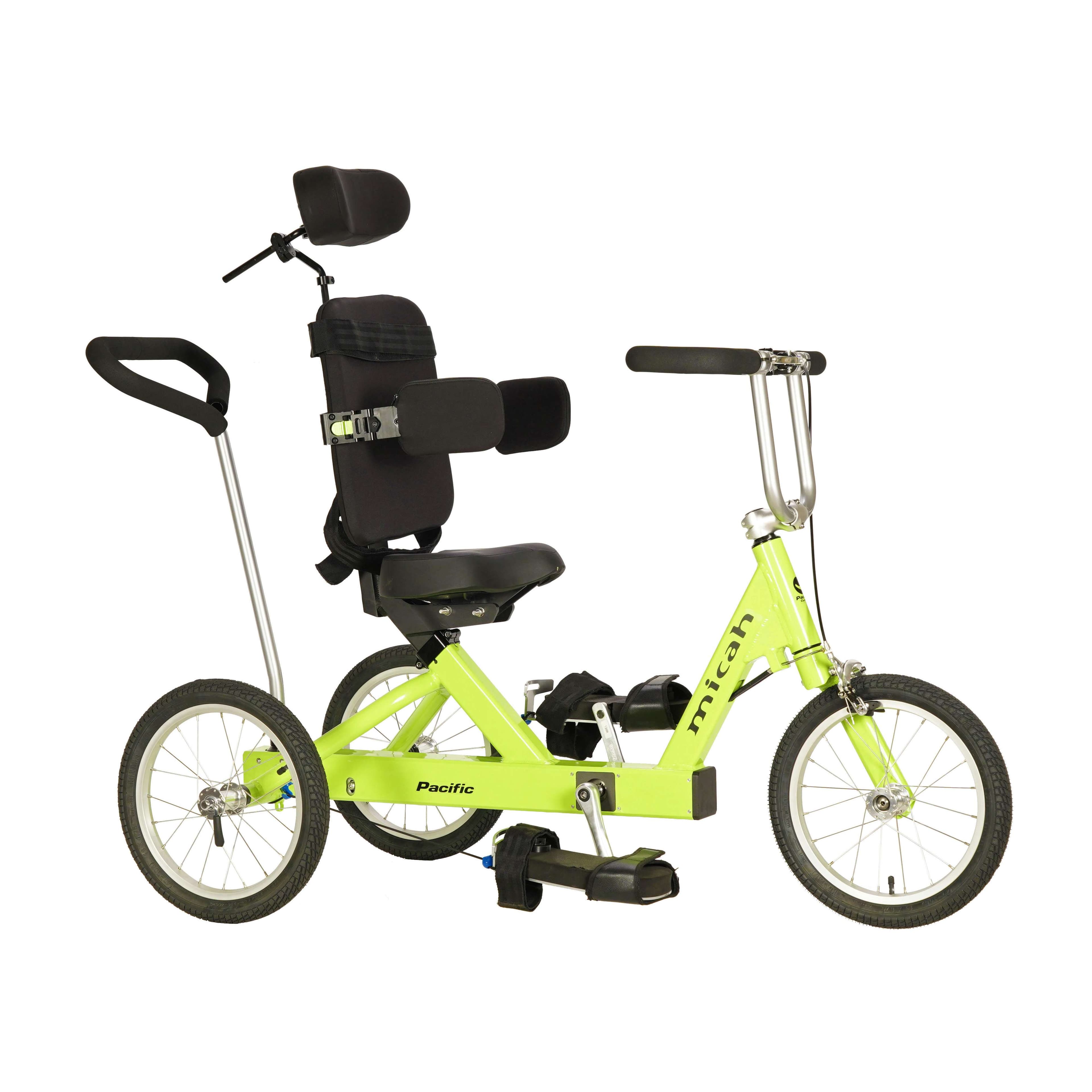 Micah Flagship Deluxe Pediatric Special Needs Tricycle