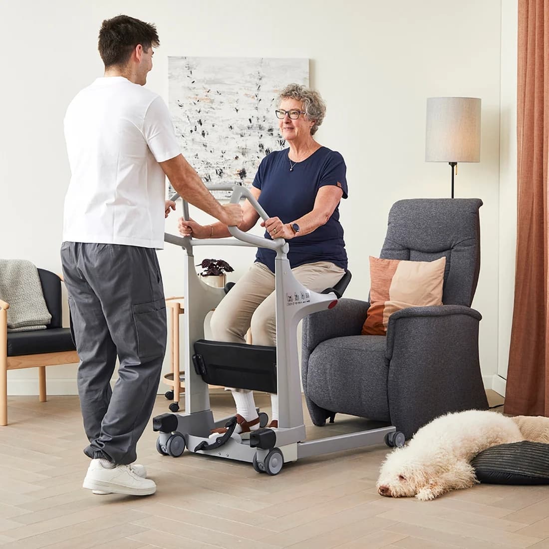 Molift Transfer Pro patient lift - Image 6